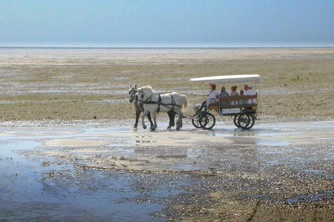 L'Entre 2 Cotes Daire Le Tréport Dış mekan fotoğraf